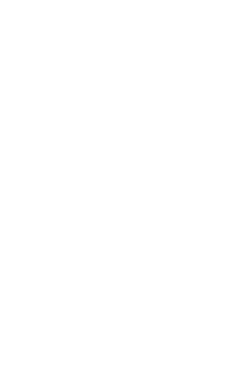 Alef Consultoria